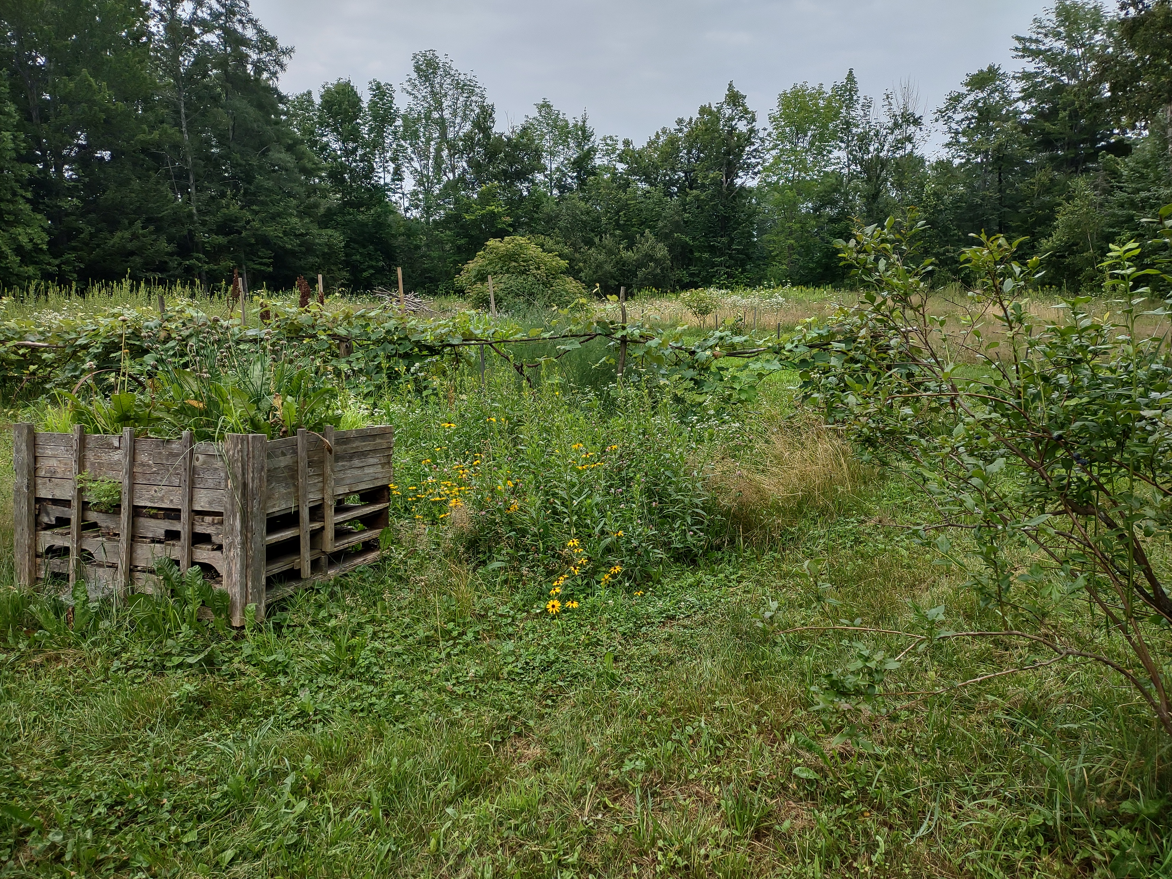 A view across the field hinting at the species diversity