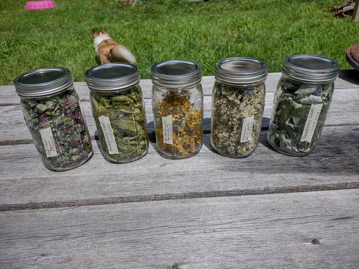 The finished product packed into jars and labelled