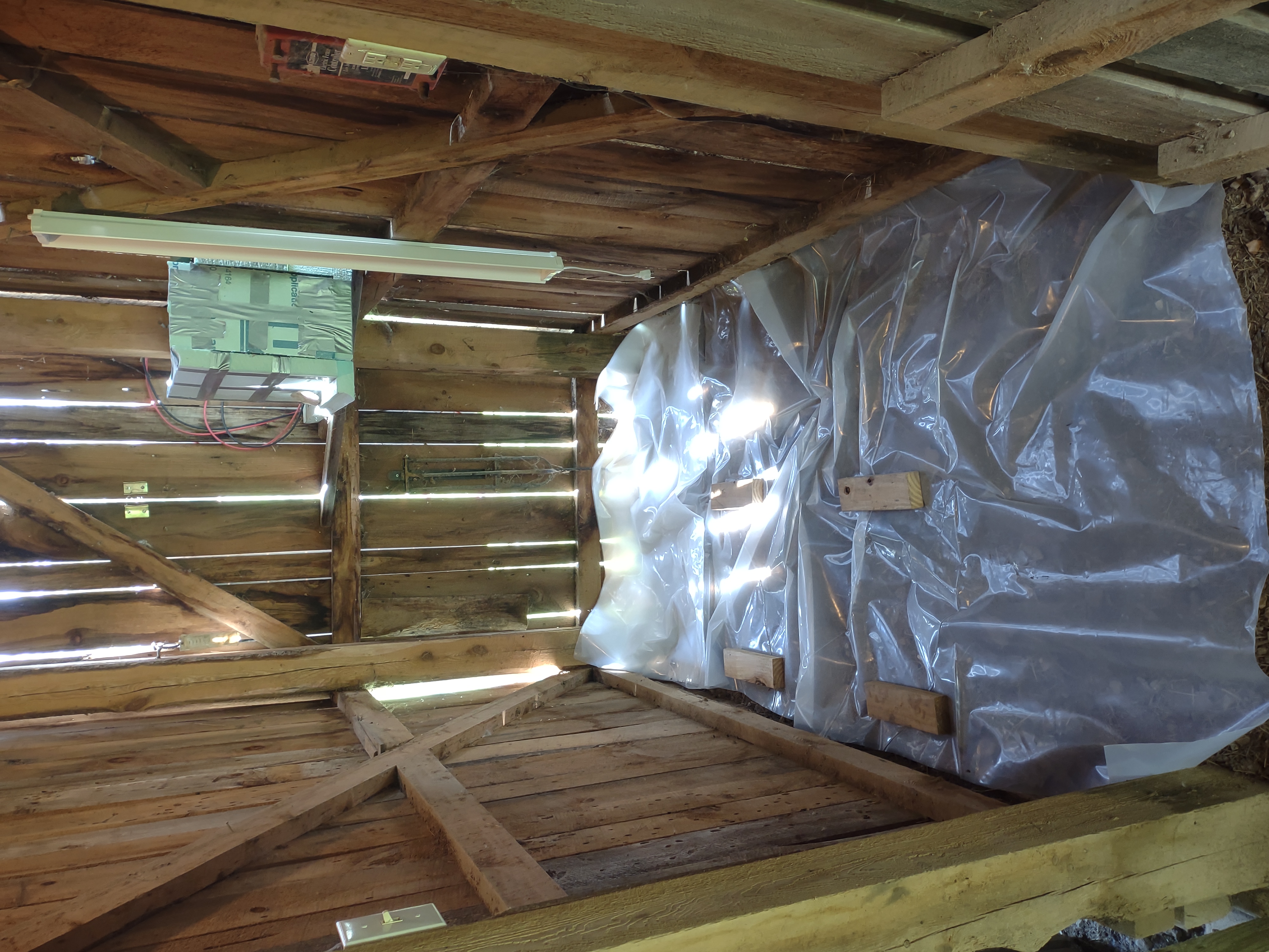 Barn stall with clear plastic vapor barrier on floor with sun showing through the rough sawed planks