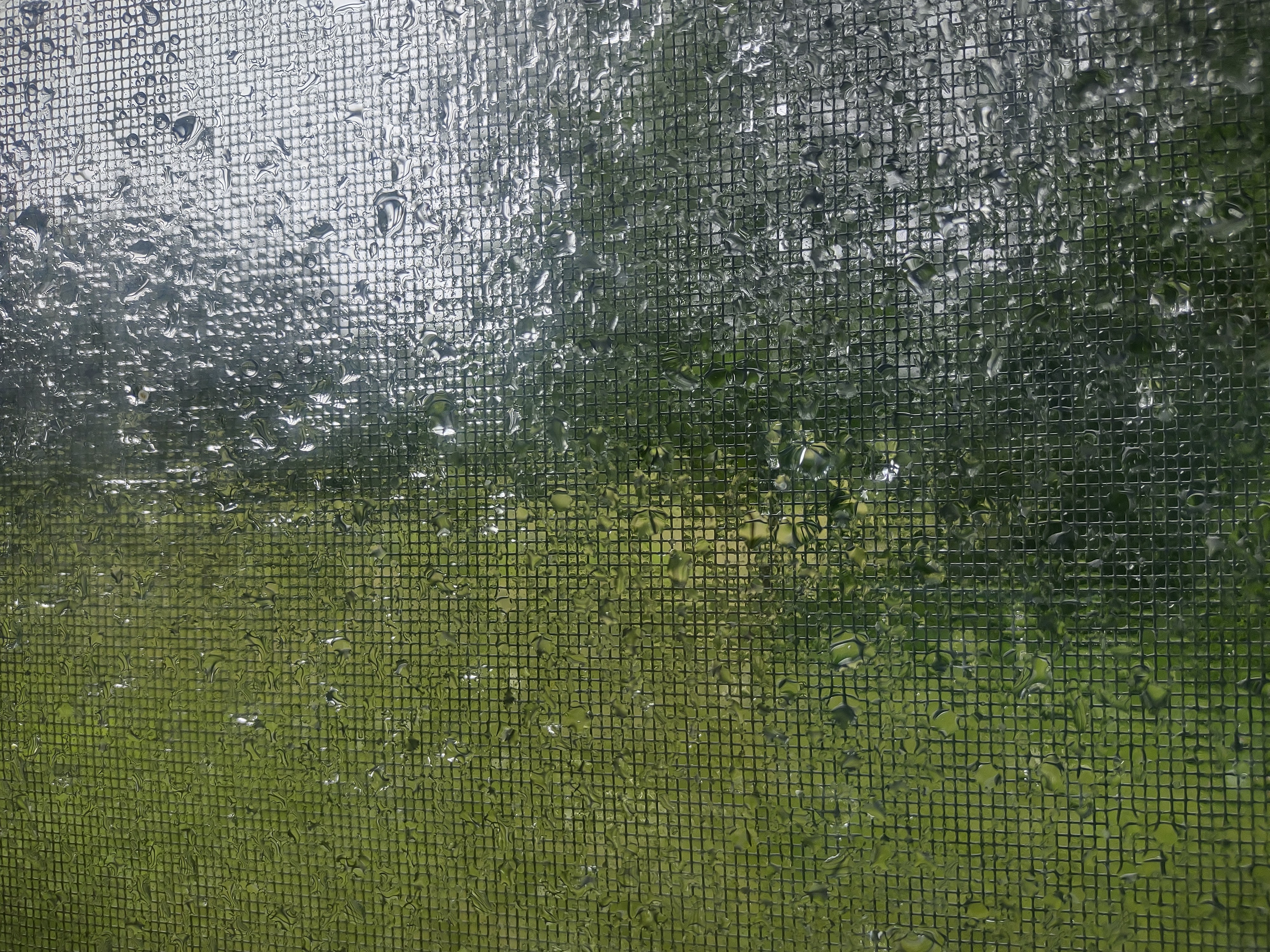 Blurred view of field through a rain soaked screen